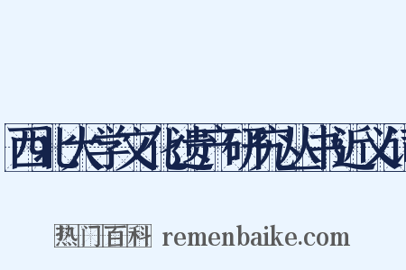 西北大学文化遗产研究丛书近义词是什么意思的图片